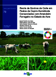 Thumbnail de Recria de bovinos de corte em pastos de capim-humidícola consorciados com amendoim forrageiro no Estado do Acre.