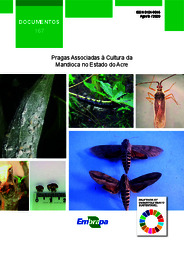 Thumbnail de Pragas associadas à cultura da mandioca no estado do Acre.