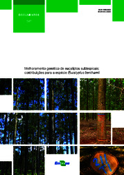 Thumbnail de Melhoramento genético de eucaliptos subtropicais: contribuições para a espécie Eucalyptus benthamii.