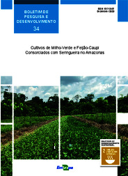Thumbnail de Cultivos de milho-verde e feijão-caupi consorciados com seringueira no Amazonas.