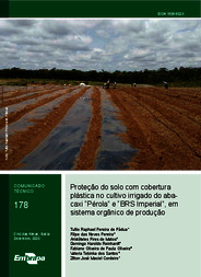 Thumbnail de Proteção do solo com cobertura plástica no cultivo irrigado do abacaxi 