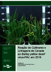 Thumbnail de Reação de Cultivares e Linhagens de Cevada ao Barley yellow dwarf virus-PAV, em 2018.