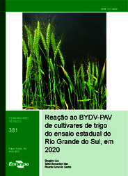 Thumbnail de Reação ao BYDV-PAV de cultivares de trigo do ensaio estadual do Rio Grande do Sul, em 2020.
