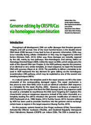 Thumbnail de Genome editing by CRISPR/Cas via homologous recombination.