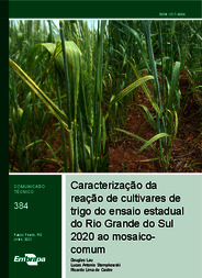 Thumbnail de Caracterização da reação de cultivares de trigo do ensaio estadual do Rio Grande do Sul 2020 ao mosaico-comum.