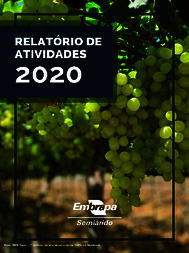 Thumbnail de Relatório de atividades 2020.