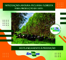 Thumbnail de Integração Lavoura-Pecuária-Floresta para produção de leite: do planejamento à produção.