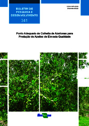 Thumbnail de Ponto adequado de colheita de azeitonas para produção de azeites de elevada qualidade.