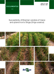 Thumbnail de Susceptibility of Brazilian varieties of maize and upland rice to Striga (Striga asiatica).