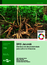 Thumbnail de BRS Jacundá: mandioca de alta produtividade para cultivo no Amazonas.