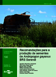 Thumbnail de Recomendações para a produção de sementes de Andropogon gayanus BRS Sarandi.