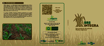 Thumbnail de BRS Integra: boa produção de palhada: plantas vigorosas.