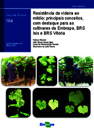 Thumbnail de Resistência da videira ao míldio: principais conceitos, com destaque para as cultivares da Embrapa, BRS Isis e BRS Vitória.