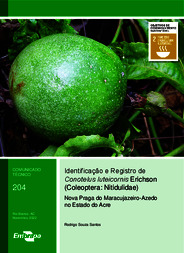 Thumbnail de Identificação e registro de Conotelus luteicornis Erichson (Coleoptera: Nitidulidae), nova praga do maracujazeiro-azedo no Estado do Acre.