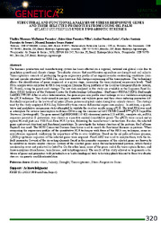 Thumbnail de Structural and functional analysis of stress-responsive genes and their selected promoters from young oil palm (ELAEIS GUINEENSIS) under two abiotic stresses.