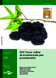 Thumbnail de BRS Ticuna: cultivar de amoreira-preta para processamento.