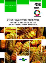 Thumbnail de Eldorado, Taquaral MC 20 e Ribeirão MC 50: variedades de milho desenvolvidas para agricultura familiar e sistemas agroecológicos.