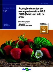 Thumbnail de Produção de mudas de morangueiro cultivar BRS DC25 (Fênix) em leito de areia.