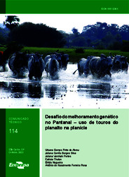 Thumbnail de Desafio do melhoramento genético no Pantanal: uso de touros do planalto na planície.