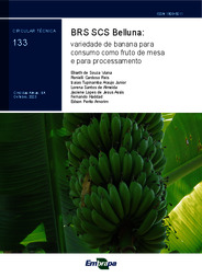 Thumbnail de BRS SCS Belluna: variedade de banana para consumo como fruto de mesa e para processamento.