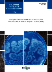 Thumbnail de Contagem de Bacillus velezensis LMC44a pelo método do espalhamento em placa (spread plate).