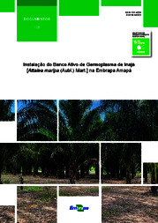 Thumbnail de Instalação do Banco Ativo de Germoplasma de inajá [Attalea maripa (Aubl.) Mart.] na Embrapa Amapá.