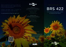 Thumbnail de Cultivar de girassol: BRS 422: híbrido de alta produtividade e ampla estabilidade.