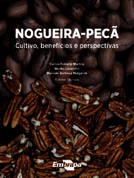 Thumbnail de Nogueira-pecã: cultivo, benefícios e perspectivas.