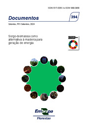 Thumbnail de Sorgo-biomassa como alternativa à madeira para geração de energia.