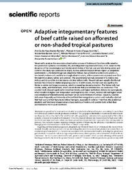 Thumbnail de Adaptive integumentary features of beef cattle raised on afforested or non?shaded tropical pastures.