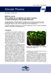 Thumbnail de BRS 54 Lumiar: nova cultivar de uva apirênica de sabor especial e manejo fácil para o Vale do São Francisco.
