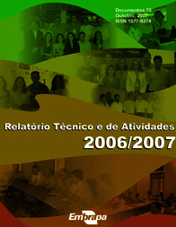 Thumbnail de Relatório Técnico e de Atividades 2006/2007.