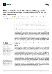 Thumbnail de Males of Dalbulus maidis attract females through volatile compounds with potential pheromone function: a tool for pest management.