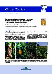 Thumbnail de Recomendações práticas para o cultivo de abacaxizeiro BRS Sol Bahia e BRS Diamante no Triângulo Mineiro.