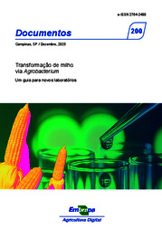 Thumbnail de Transformação de milho via Agrobacterium: um guia para novos laboratórios.