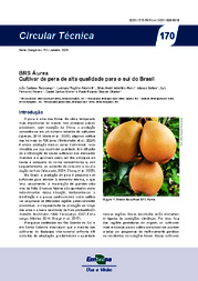 Thumbnail de BRS Áurea: cultivar de pera de alta qualidade para o sul do Brasil.