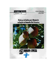 Thumbnail de Práticas de cultivo para mangueira na região do Submédio São Francisco.