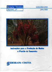 Thumbnail de Instruções para a produção de mudas e plantio da tamareira.