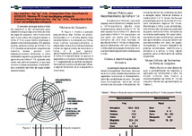 Thumbnail de Amostragem foliar de coqueiro e distribuição de fertilizantes.