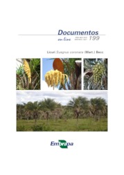 Thumbnail de Licuri Syagrus coronata (Mart.) Becc.
