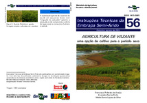 Thumbnail de Agricultura de vazante: uma opção de cultivo para o período seco.