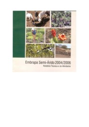 Thumbnail de Relatório técnico e de atividades 2004-2006.