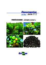Thumbnail de Pinhão-manso - Jatropha curcas L.