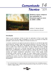 Thumbnail de Dinâmica espaço temporal das queimadas na Amazônia Legal nos anos de 2003 e 2004.