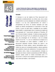 Thumbnail de Caracterização física e mecânica da madeira de Pinus tecunumanii com vistas à produção de móveis.