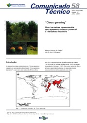 Thumbnail de Citrus greening: uma bacteriose quarentenária que representa ameaça potencial à citricultura brasileira.