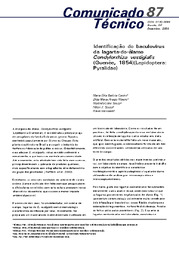 Thumbnail de Identificação do baculovirus da lagarta-do-álamo Condylorrhiza vestigialis (Guenée, 1854) (Lepidoptera: Pyralidae).
