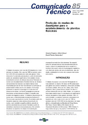 Thumbnail de Produção de mudas de Eucalyptus para o estabelecimento de plantios florestais.