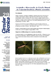 Thumbnail de Instalação e manutenção de criação massal de traça-das-crucíferas (Plutella xylostella).