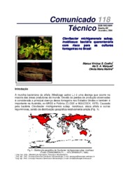 Thumbnail de Clavibacter michiganensis subsp. insidiosus: bactéria quarentenária com risco para as culturas forrageiras no Brasil.